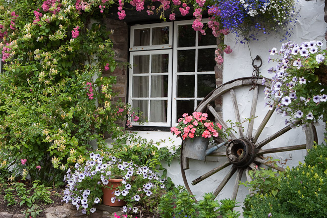 An English cottage garden.