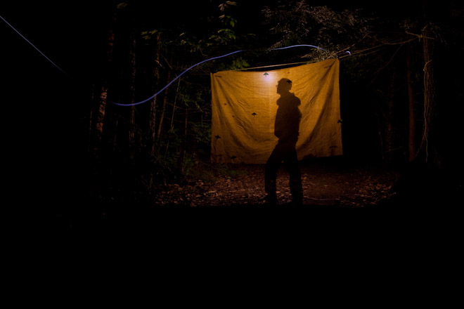 Checking the light traps for moths with interesting camouflage