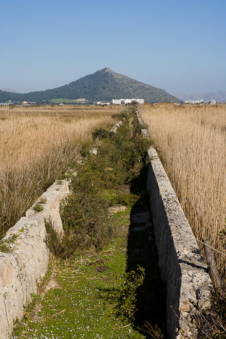 Disused irrigation channel across Albufera marsh.