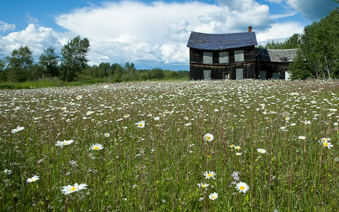 Deserted farmhouse