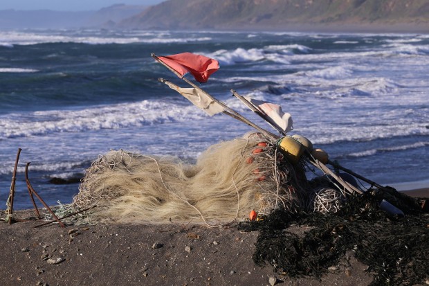 Coastal fishing nets