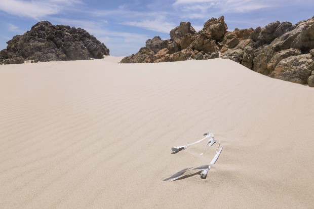 Un paisaje de arena y piedres